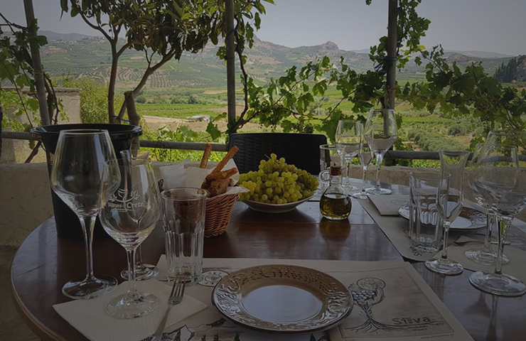 Ξεναγήσεις / Γευσιγνωσία & Wine Tips